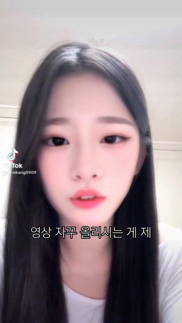 링크 이미지